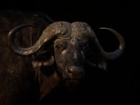 20231010-075421-OA102983-c1 1.jpg