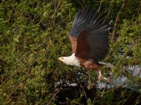 20231009-080445-OA099423-c1 copy.jpg