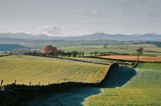 51190017_Adj Cumbria fields.jpg