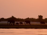 20231008-175110-BA081958-c1 1.jpg