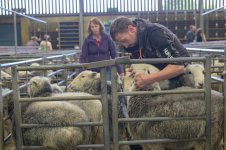 oldfair (60 of 75).jpg