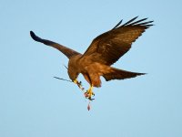 20231005-063636  -OA058453-c1.jpg