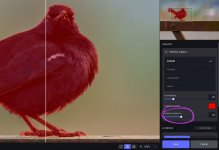 Screenshot 2023-11-16 at 19.53.38.jpg