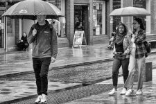 Dodging the Rain 01.jpg Dodging the Rain 01.jpg