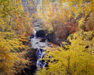 2016-11, Scotland, RZ67, Velvia 50, 009-Edit.jpg