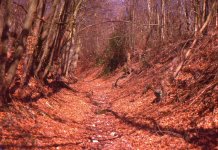 image021.jpg