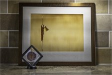 IMGC3284 SPF Medal NEW PS JP TP.jpg