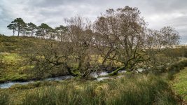 016 Powder Mills 16-1000759 PS Adj.JPG