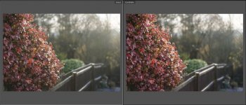 Screenshot 2023-12-06 at 14.09.00.jpg