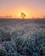 Frosty Sunrise.jpg