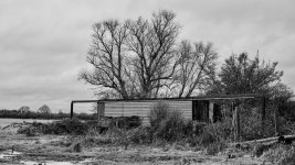 Forgotten shed.jpg