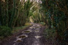 IMG_1190T - Copyx760.jpeg