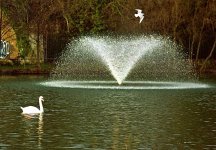 RTS II 800 px 03.jpg