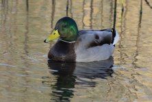 IMG_2061ers.jpg