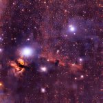 Horsehead-070323.jpg