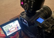 IMG_5589.jpeg IMG_5589.jpeg