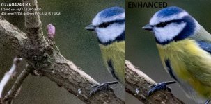 sq_3.jpg