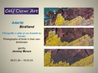 Birdland clettwr show.jpg