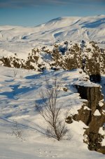 DSC_0747.jpg DSC_0747.jpg