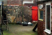 back-yard.jpg