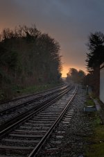 IMG_1416T - Copyx750.jpeg