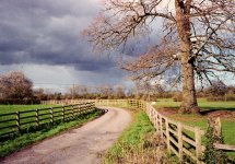 Rom C1Pro Ektar 1.jpg Rom C1Pro Ektar 1.jpg
