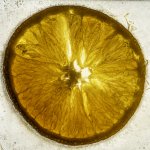 Hard Icy Orange 1.jpg