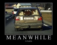 Meanwhile.jpg