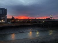 IMG_7003.jpeg