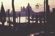 Venice Scene at Dusk.jpg