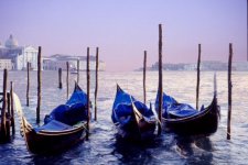 Venice - moored gondolas Manipulated.JPG