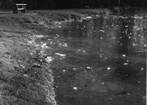 Pond Ice 01.jpg