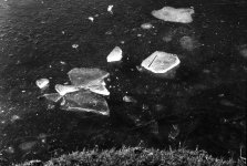 Pond Ice 02.jpg