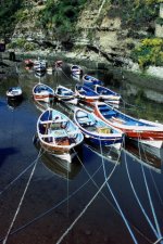 Cobles on Roxby Beck.JPG