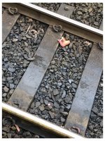 IMG_0390.jpeg