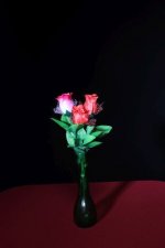 Roses on table IMG_0001.jpg