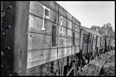 Tanfield coal wagons.jpg