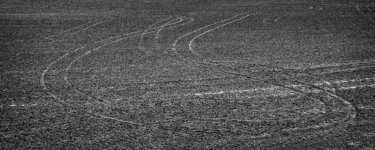 Mud, Mud, Glorious Mud.JPG