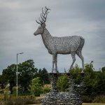 Stag Sculpture 3-1000300adjuploadLUF.jpg Stag Sculpture 3-1000300adjuploadLUF.jpg