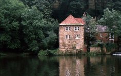 On the Riverbank.jpg