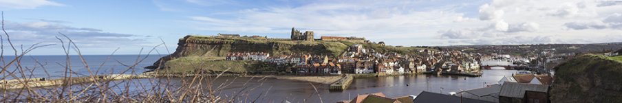 Whitby-23-2-24-7.jpg