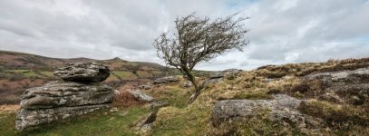 009 Bench Tor (Lone Tree) 09-0756 PS Adj.JPG