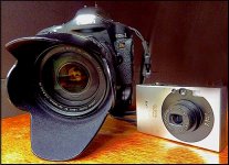 Canon Eos 1Ds II with 28-135mm lens and Ixus Digital TZ7 1020222.jpg