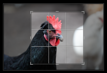 Screenshot 2024-03-11 173250.png