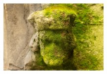 IMG_1175.jpeg