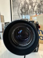 IMG_4487.jpeg