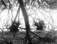 IMG_5453.jpeg
