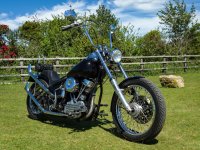 New Pan Shot-1003806 V2 PS Adj LUF.jpg