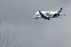 Beluga XL.jpg Beluga XL.jpg