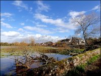 Tree and flooded Meadow Clyst St Mary FZ82 P1010419.jpeg Tree and flooded Meadow Clyst St Mary FZ82 P1010419.jpeg